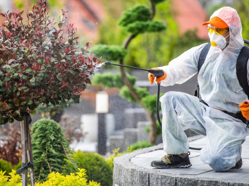 İznik Haşere İlaçlama